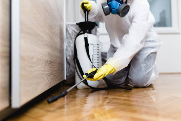 Best Affordable Pest Control Services  in Medicine Lodge, KS