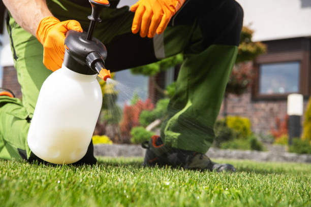 Best Best Pest Control Companies  in Medicine Lodge, KS