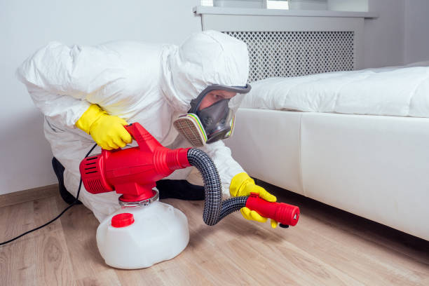 Best Emergency Pest Control  in Medicine Lodge, KS