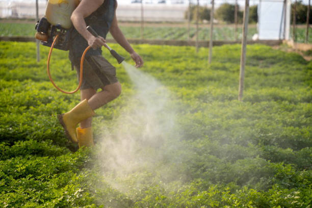 Professional Pest Control in Medicine Lodge, KS