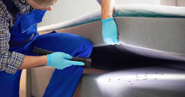 Best Pest Control Near Me  in Medicine Lodge, KS