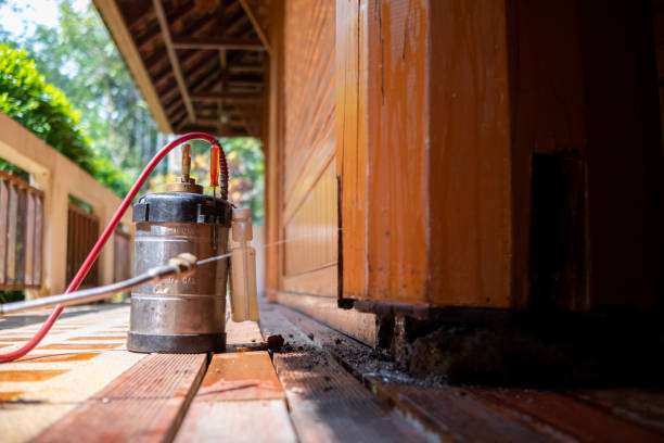 Best Cockroach Control Services  in Medicine Lodge, KS