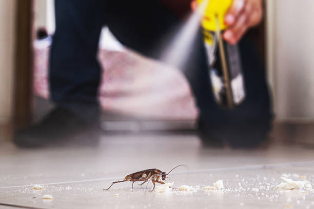 Best Bed Bug Extermination  in Medicine Lodge, KS