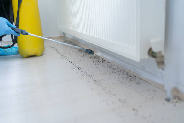 Best Pest Prevention Services  in Medicine Lodge, KS
